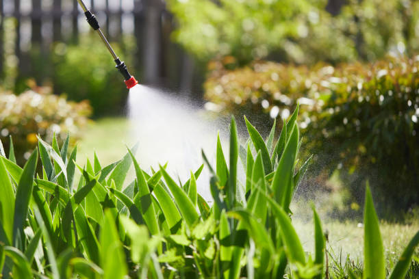 24/7 Emergency Cockroach Control experts in Seward, AK