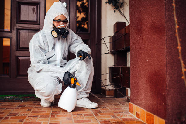 Reliable Cockroach Control contractor in Seward, AK by Nex Pest Control